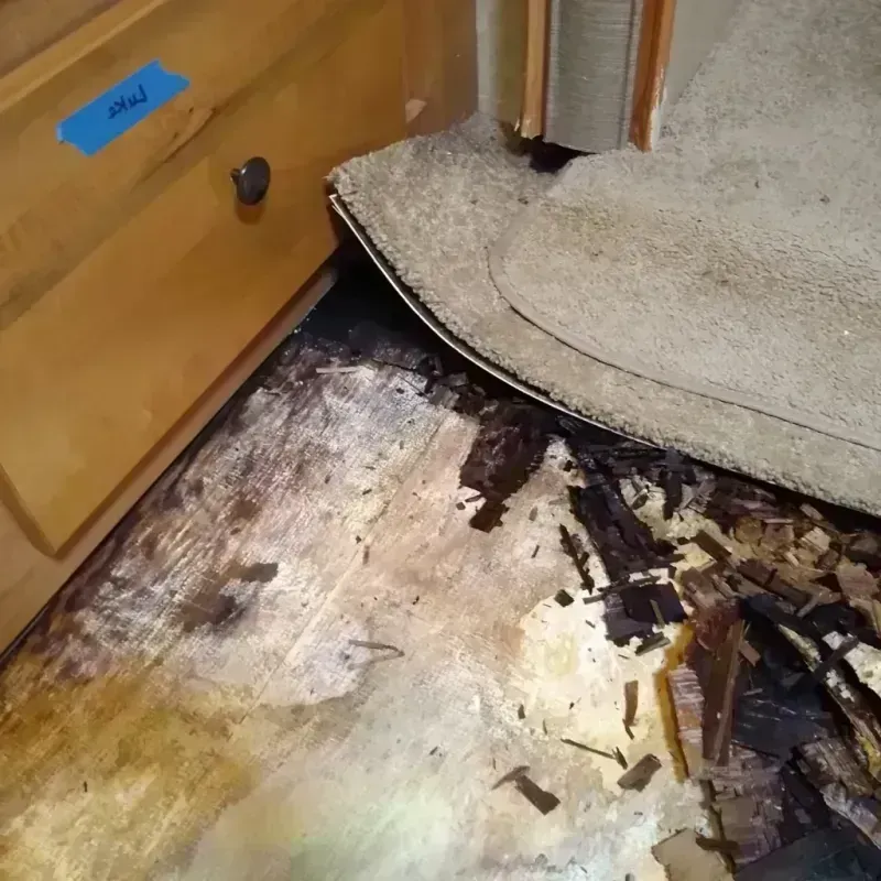 Wood Floor Water Damage in Elmwood Park, NJ